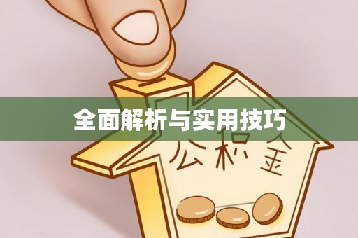 上林全面解析与实用技巧