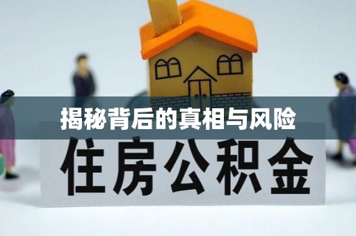 上林揭秘背后的真相与风险