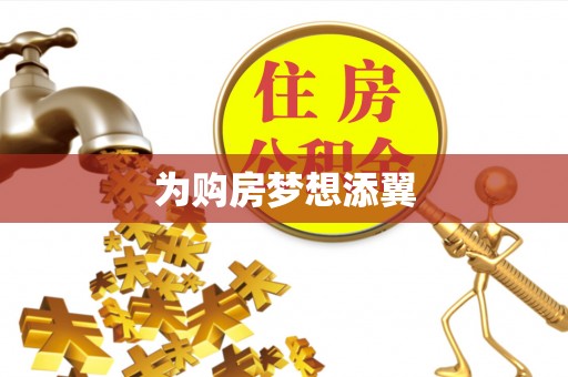 上林为购房梦想添翼