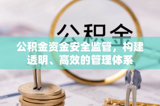 上林公积金资金安全监管，构建透明、高效的管理体系