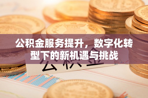 上林公积金服务提升，数字化转型下的新机遇与挑战