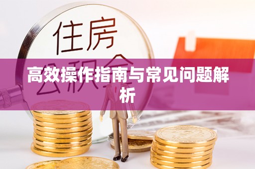 上林高效操作指南与常见问题解析