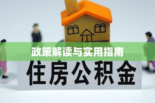 上林政策解读与实用指南