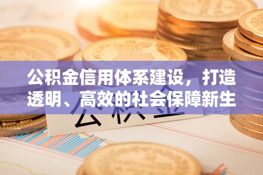 上林公积金信用体系建设，打造透明、高效的社会保障新生态