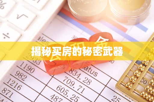 上林揭秘买房的秘密武器
