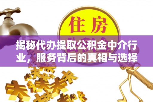 上林揭秘代办提取公积金中介行业，服务背后的真相与选择指南