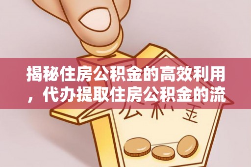 上林揭秘住房公积金的高效利用，代办提取住房公积金的流程与技巧