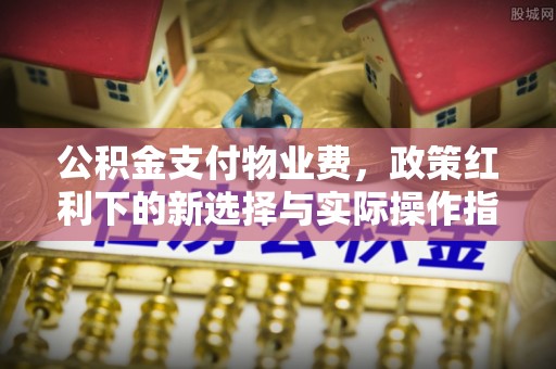 上林公积金支付物业费，政策红利下的新选择与实际操作指南