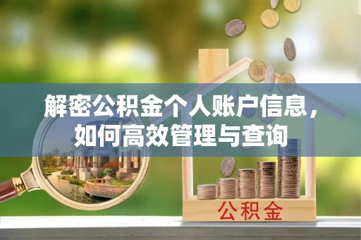 上林解密公积金个人账户信息，如何高效管理与查询