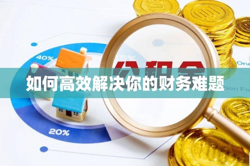 上林如何高效解决你的财务难题