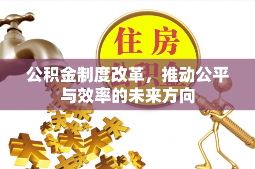 上林公积金制度改革，推动公平与效率的未来方向