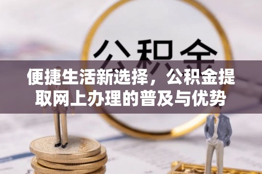 上林便捷生活新选择，公积金提取网上办理的普及与优势