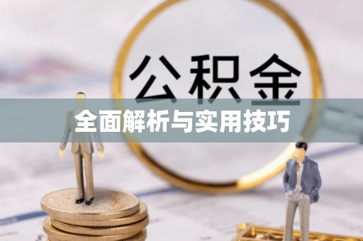 上林全面解析与实用技巧