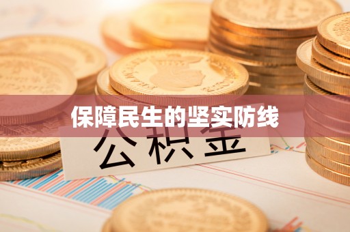 上林保障民生的坚实防线