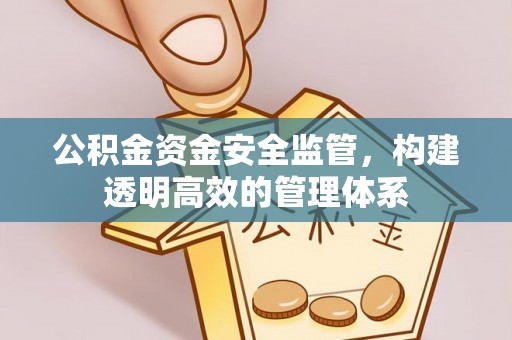 上林公积金资金安全监管，构建透明高效的管理体系