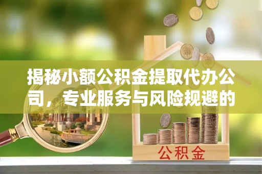 上林揭秘小额公积金提取代办公司，专业服务与风险规避的平衡艺术