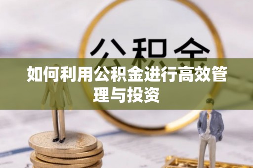 上林如何利用公积金进行高效管理与投资